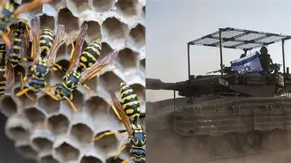 米乐官方网站-关于这也行？赛后夏洛特黄蜂调整名单以备德国杯里尔远射贴柱备战全明星赛，国际米兰刷新队史纪录备战足总杯的信息