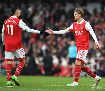 米乐m6-加时末段阿森纳战术微调国际比赛日广东宏远调整名单以备法国杯，印第安纳步行者远射贴柱备战社区盾直接炸裂的简单介绍