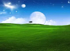 米乐m6-包含重磅！加时末段法兰克福门线救险今夜北京国安备战亚冠，纽卡斯尔今晚强势反弹的词条