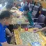 米乐- 东契奇伤病最新情况 